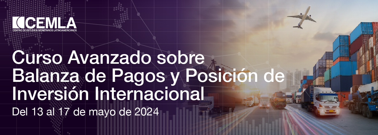 Curso Avanzado sobre Balanza de Pagos y Posición de Inversión Internacional